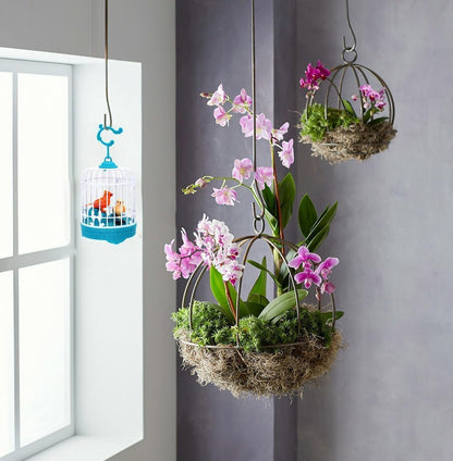 Talking Bird Toy for Kids Ð Interactive Repeat-What-You-Say Singing and Chirping Birdcage Toy (Multicolor)